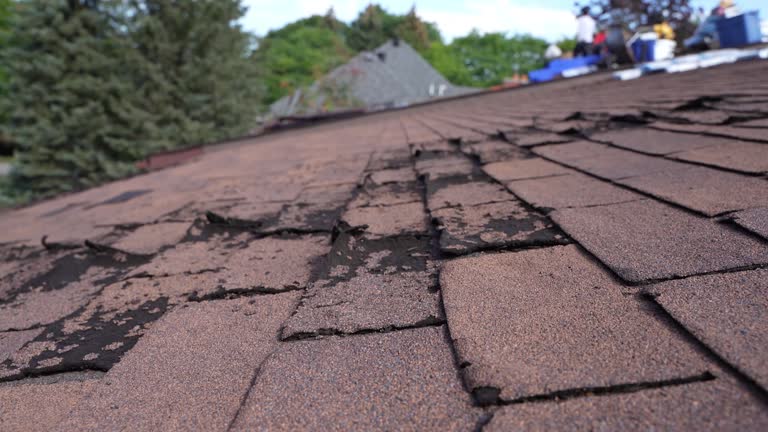 Best Asphalt Shingle Roofing  in Port Jefferson Station, NY